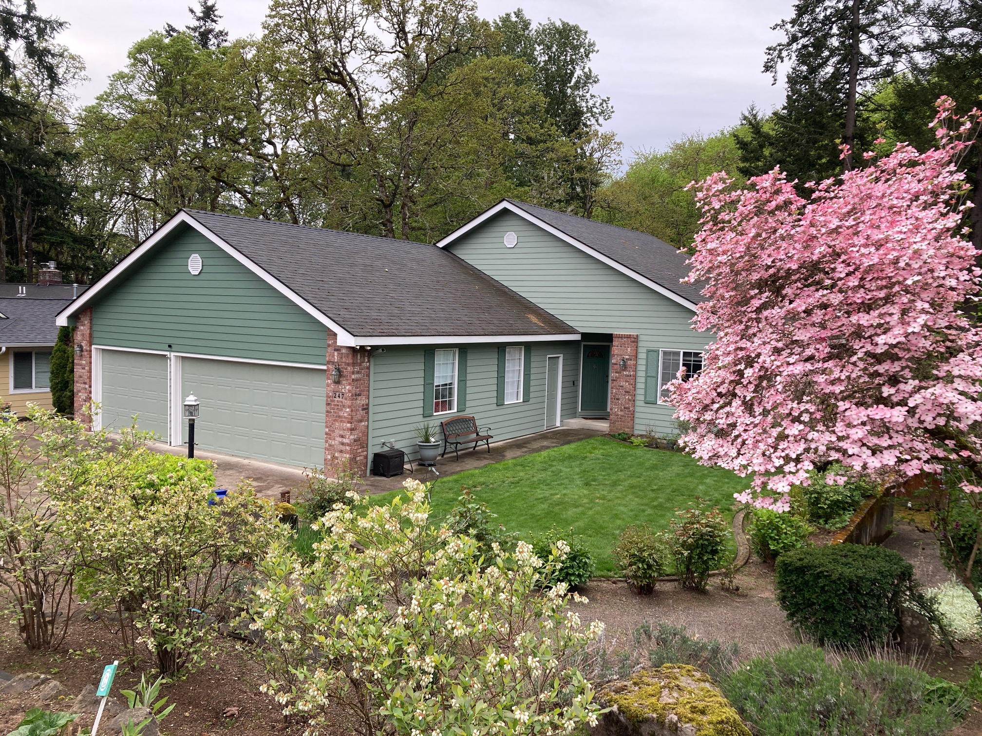 Sage green single-story home with white trim beside a pink dogwood in bloom